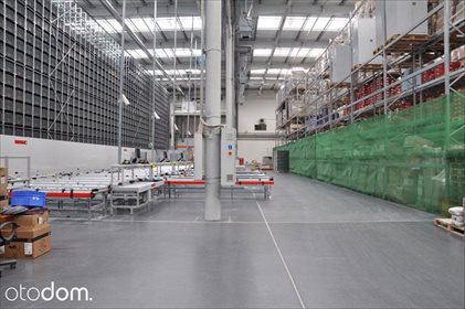 lokal użytkowy na wynajem 10695m2 lokal użytkowy Wrocław, Krzyki-Ołtaszyn