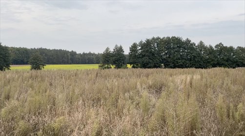działka na sprzedaż 3008m2 działka Mosina, Mosina, Bławatkowa