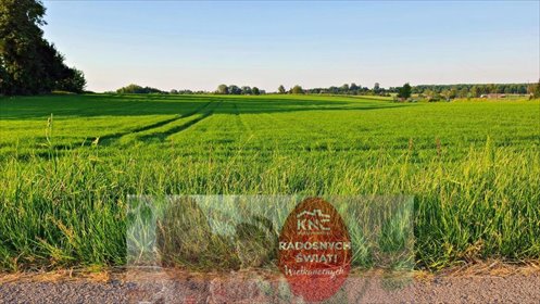 działka na sprzedaż 3000m2 działka Miłocin