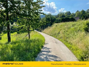 Działka rolna na sprzedaż Rybne, Solina 2 374m2 Foto 2
