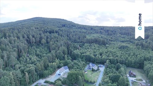 Polecam działkę 1340 m² w Strzegomianach z potencjałem działka Strzegomiany