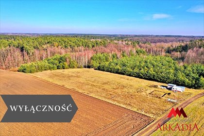 Działka rolno-leśna 9 180 m² w Piątki - szerokie możliwości rozwoju działka Lipno, Piątki