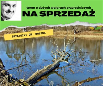 Działka rolna na sprzedaż Świątniki 33 500m2 Foto 1