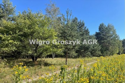 Na sprzedaż działka 3000 m² z pozwoleniem na dom w Pieńkowie działka Pieńków