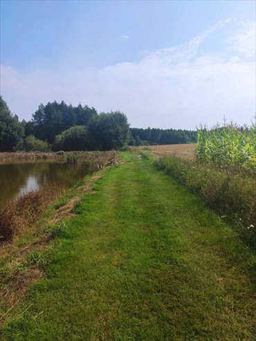 działka na sprzedaż 45481m2 działka Nowy Lipsk