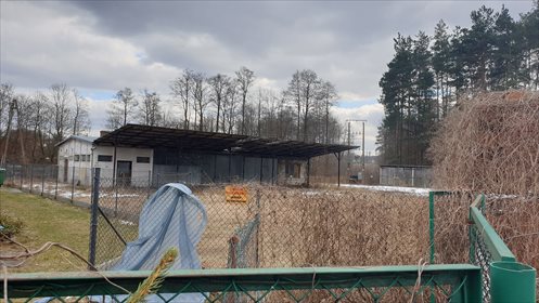 Działka komercyjna na sprzedaż Dzikowiec 1 700m2 Foto 1