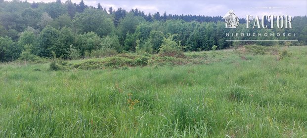 działka na sprzedaż 1500m2 działka Siary