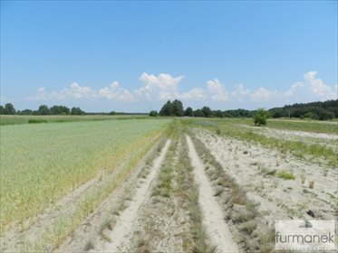 Działka rolna na sprzedaż Gózd Lipiński 11 400m2 Foto 3