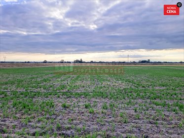 działka na sprzedaż 5197m2 działka Opole, Grotowice