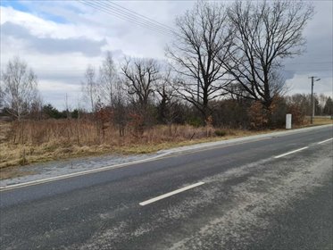 działka na sprzedaż 2629m2 działka Kleszczów, Żłobnica