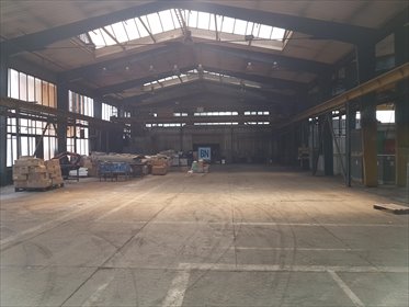 lokal użytkowy na wynajem 3355m2 lokal użytkowy Katowice