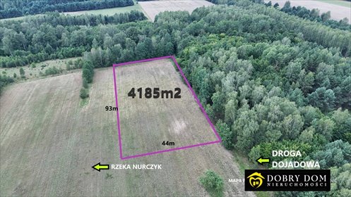 Działka 4185 m² z WZ, las, rzeka, prywatność (Pokaniewo-Kolonia) działka Pokaniewo-Kolonia