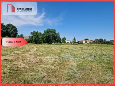 działka na sprzedaż 1002m2 działka Kolnica