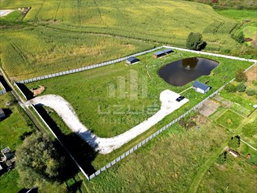 Atrakcyjna działka 8666 m2 z domkiem i stawem w Turze działka Turze