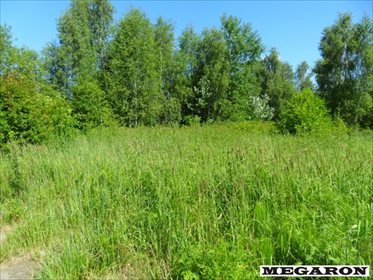 Duża działka 10 614 m2 z możliwością zabudowy zagrodowej działka Częstochowa, Rząsawy