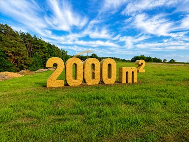 Działka 2000 m² przy lesie w Zbychowie – idealna pod dom lub inwestycję działka Zbychowo, Kaszubska