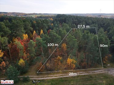 Działka leśna nad Zalewem Cieszanowickim 2650 m² polecam działka Cieszanowice
