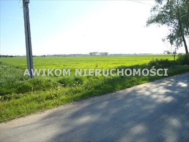 działka na sprzedaż 49800m2 działka Grodzisk Mazowiecki, Kłudno Nowe
