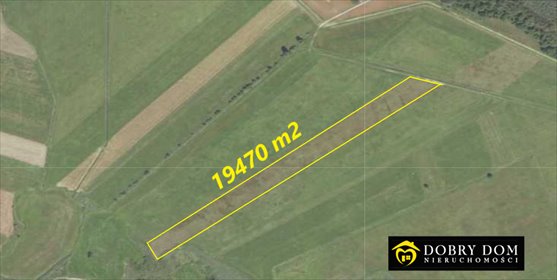 działka na sprzedaż 19470m2 działka Borsukówka