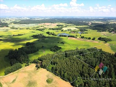 działka na sprzedaż 38100m2 działka Próle