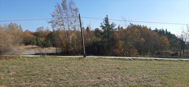 Działka inwestycyjna na sprzedaż Wysoczany 10 000m2 Foto 6