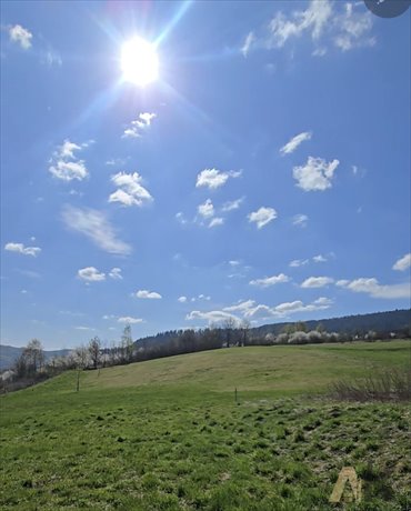 działka na sprzedaż 4000m2 działka Kamienica