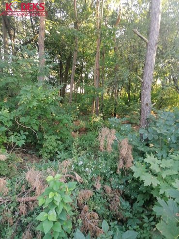 Działka budowlana na sprzedaż Legionowo 2 250m2 Foto 3