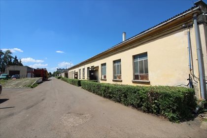 Lokal użytkowy na sprzedaż Radymno, Złota Góra 4 849m2 Foto 4