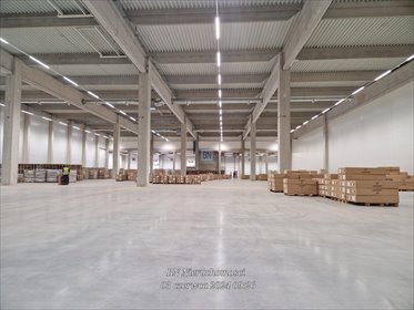 lokal użytkowy na wynajem 4000m2 lokal użytkowy Cieszyn