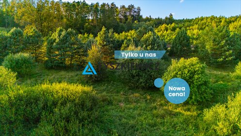 działka na sprzedaż 8527m2 działka Sulęczyno