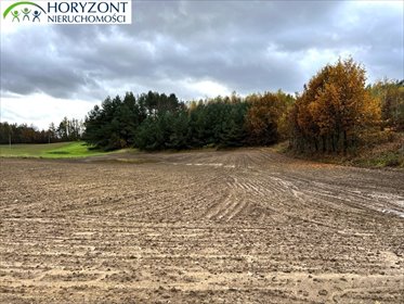 Zapraszam do obejrzenia dużej działki 14 200 m² w Kaszubach działka Mściszewice