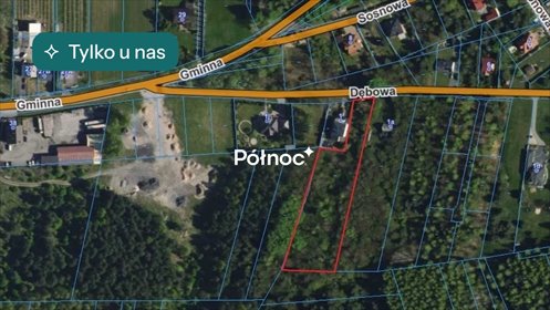 Działka budowlana 5338 m² w Rajsku – inwestycja i spokój działka Rajsko