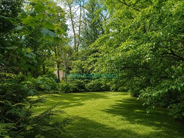 Działka w centrum Podkowy Leśnej z budynkiem i dużym potencjałem działka Podkowa Leśna