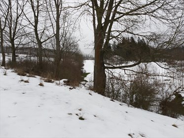 działka na sprzedaż 3195m2 działka Kowalowa