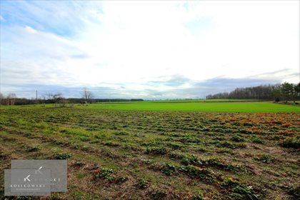 Działka budowlana na sprzedaż Kamienna 1 105m2 Foto 3