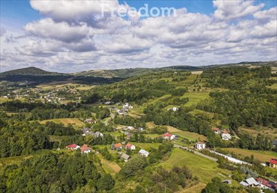 działka na sprzedaż 4100m2 działka Cieszyna