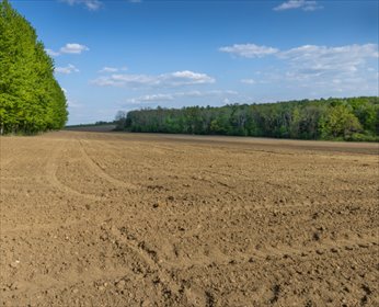 działka na sprzedaż 29500m2 działka Mielenko Gryfińskie