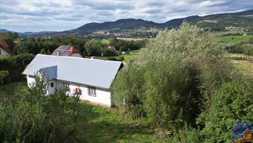 Działka 2100 m² z domem do remontu w Siekierczynie zapraszam dom Siekierczyna