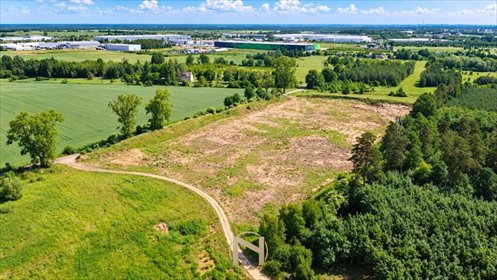 Działka inwestycyjna 25 000 m² w Baczyna-Kolonii zapraszam działka Baczyna-Kolonia