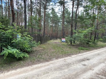 Do sprzedania działka leśna 6379 m² w Ryni działka Rynia, Ignacego Paderewskiego