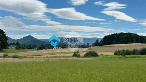 działka na sprzedaż 1177m2 działka Łomnica, Lipowa