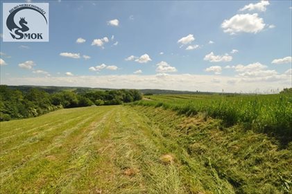 działka na sprzedaż 15000m2 działka Wilczkowice