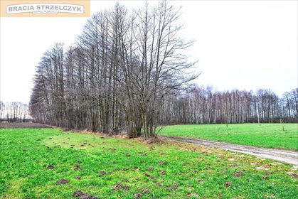 działka na sprzedaż 16900m2 działka Stare Zambski