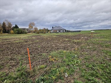 działka na sprzedaż 994m2 działka Zielin, Wincentego Witosa