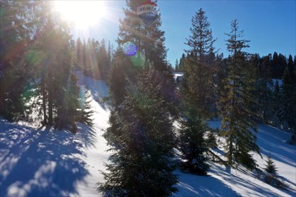 działka na sprzedaż 4290m2 działka Bukowina Tatrzańska