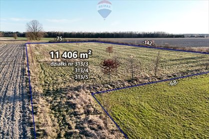 Przestronna działka 11 406 m² z mediami i lasem działka Korabiewice