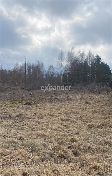 działka na sprzedaż 5970m2 działka Jaskrów