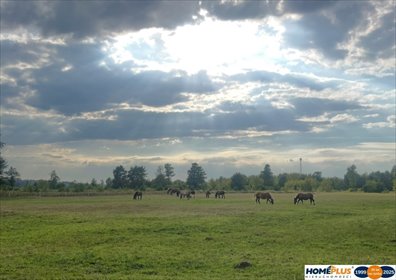 działka na sprzedaż 11604m2 działka Ruda