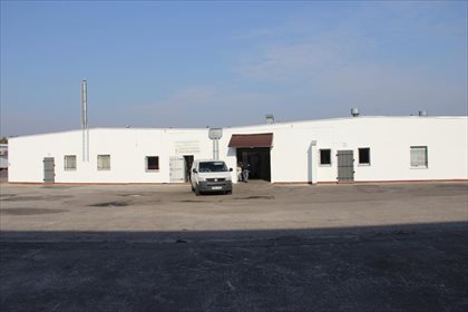 Magazyn na wynajem Włocławek, Witosa 290m2 Foto 1
