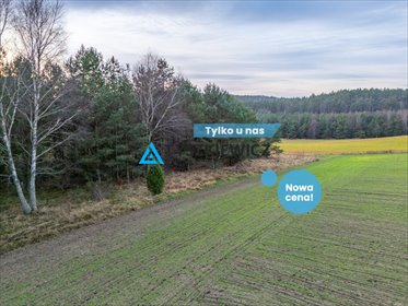 Malownicza działka rekreacyjna 4900 m² w Rekowie działka Rekowo
